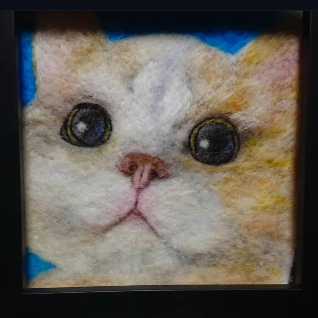 #掲載店 
あおい そらさんの猫ちゃんの羊毛アートをご紹介します🐈
羊毛フェルトでアートやキーホルダーなどお写真を元に制作されています。羊毛フェルト、ウールペインティグ 生徒様募集中！
 @aoi_sora1257 

#羊毛アート #羊毛キーホルダー #羊毛フェルト #メモリアル 
#掲載店募集 #ファムアドア #famadore @famadore_official